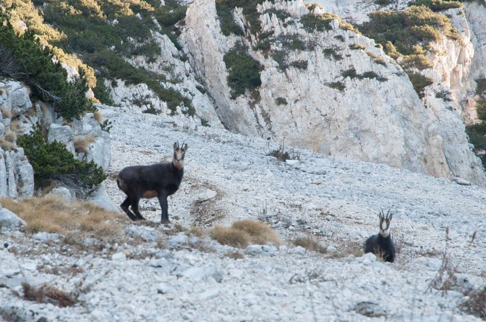 monte-baldo